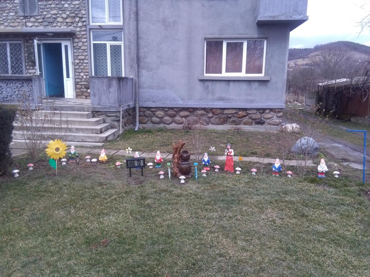 Vila La Izvorul Putinei Hateg Luaran gambar