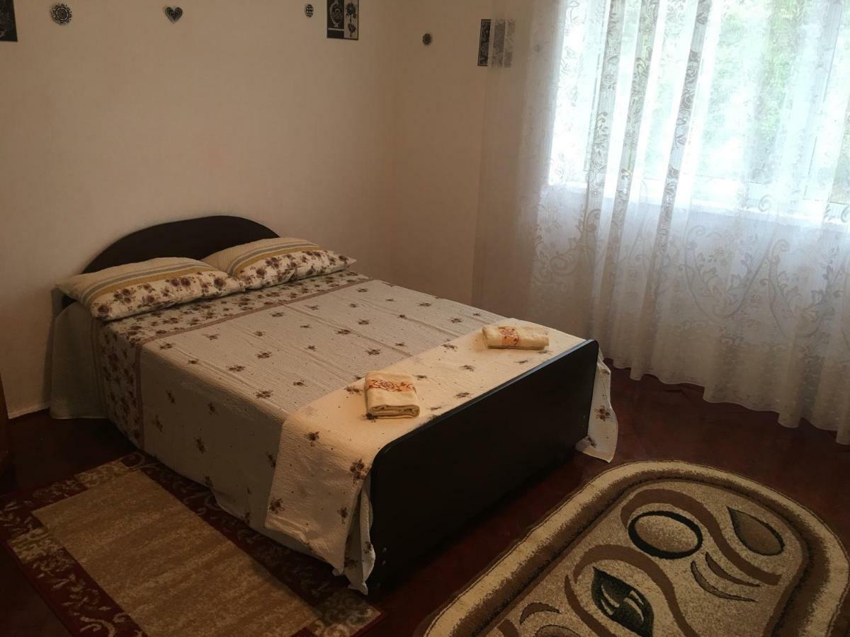 Vila La Izvorul Putinei Hateg Luaran gambar