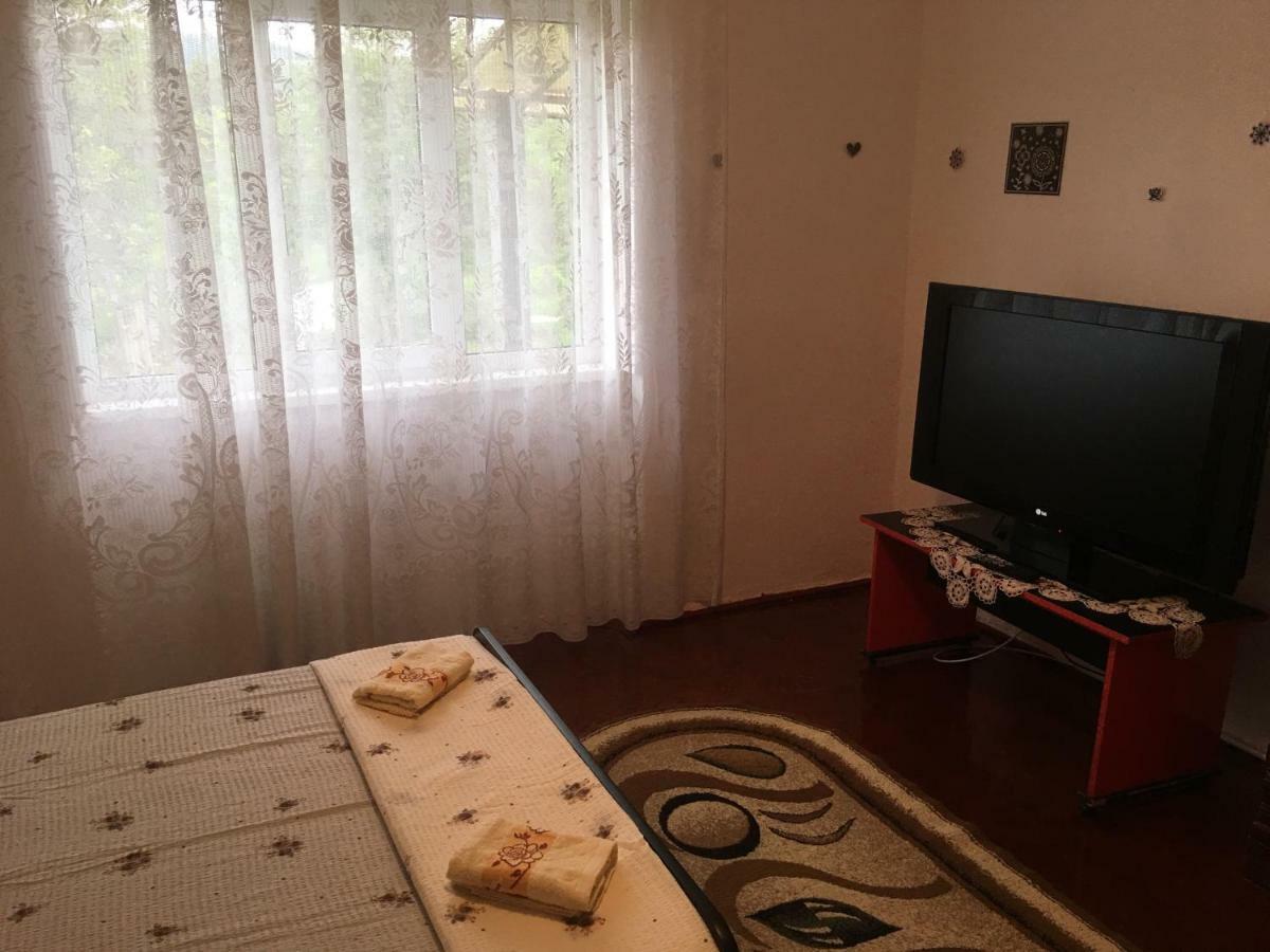 Vila La Izvorul Putinei Hateg Luaran gambar